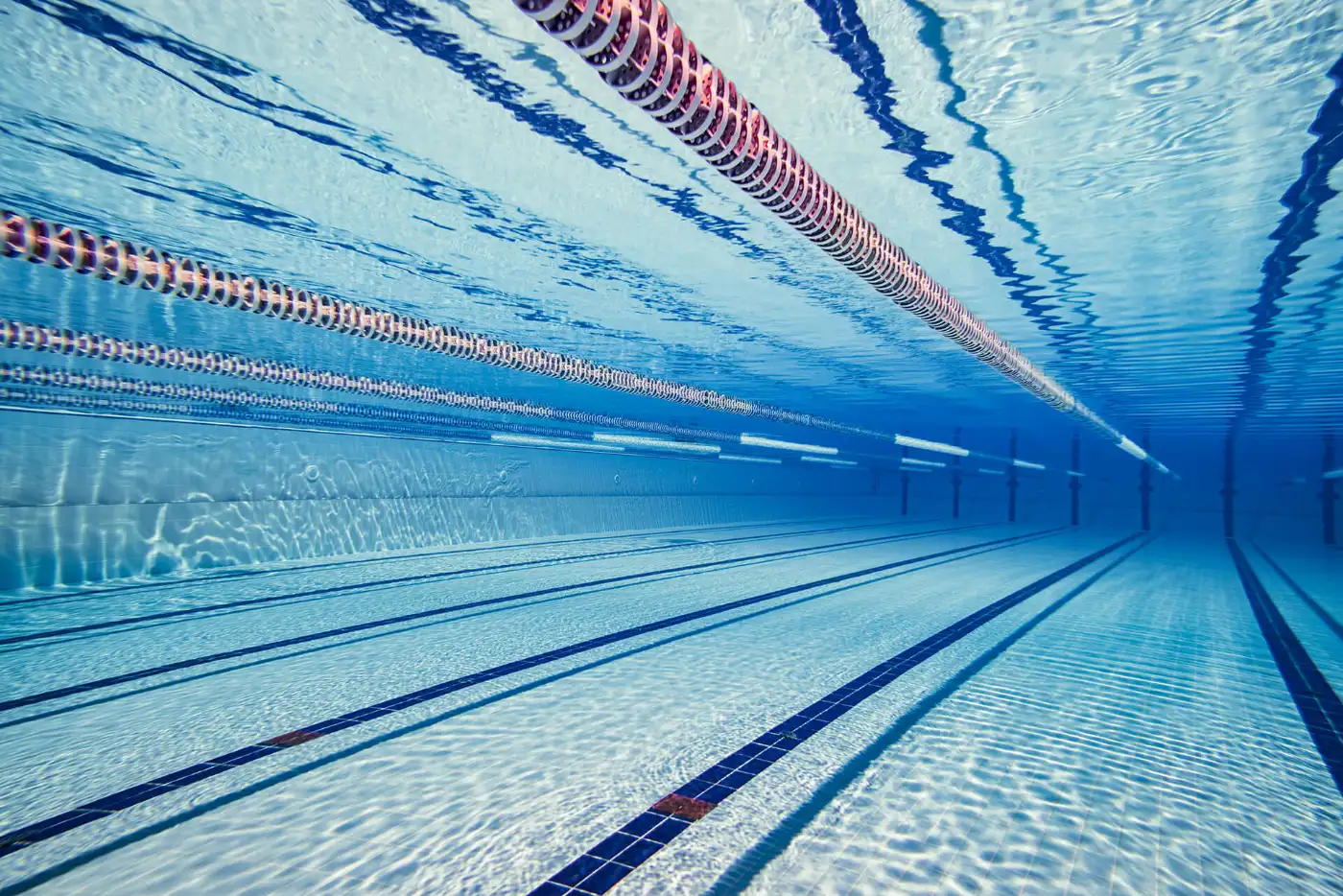 Underwater view of a swimming pool