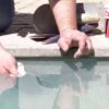 Cemcrete Underwater Pool Patching 1kg